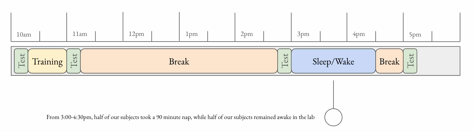 sleepwake_description
